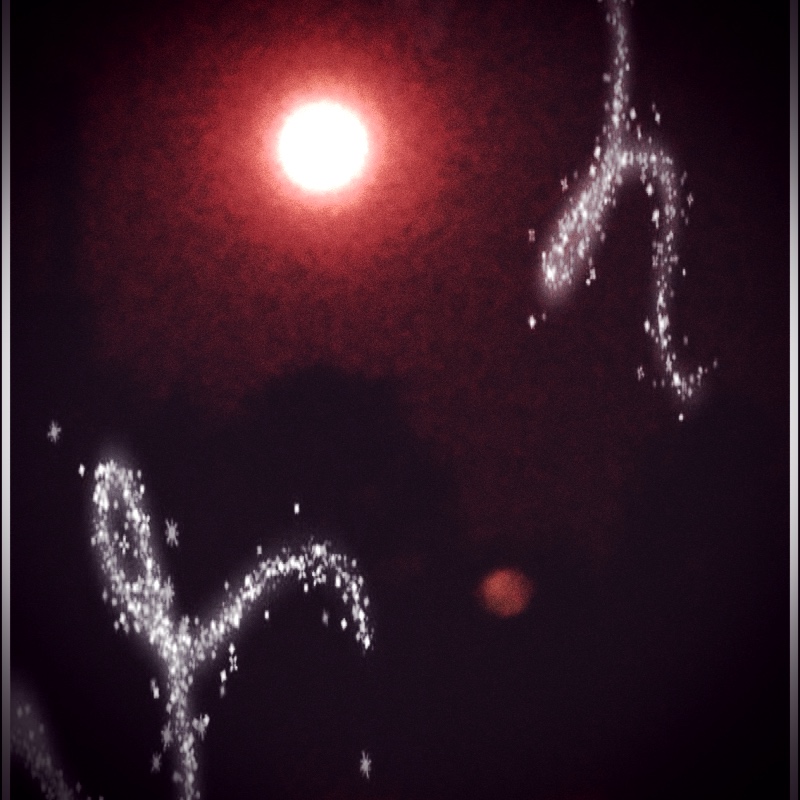 camerabag_photo_1000