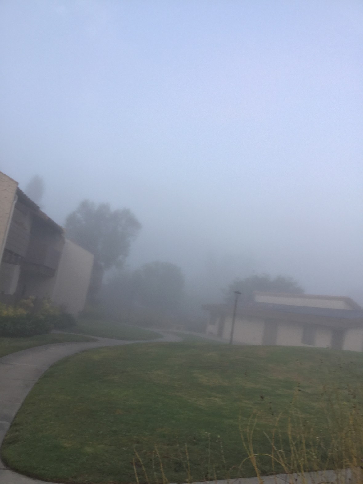 70A431B2-E42C-4CDB-AD28-F3C8F302DBFF