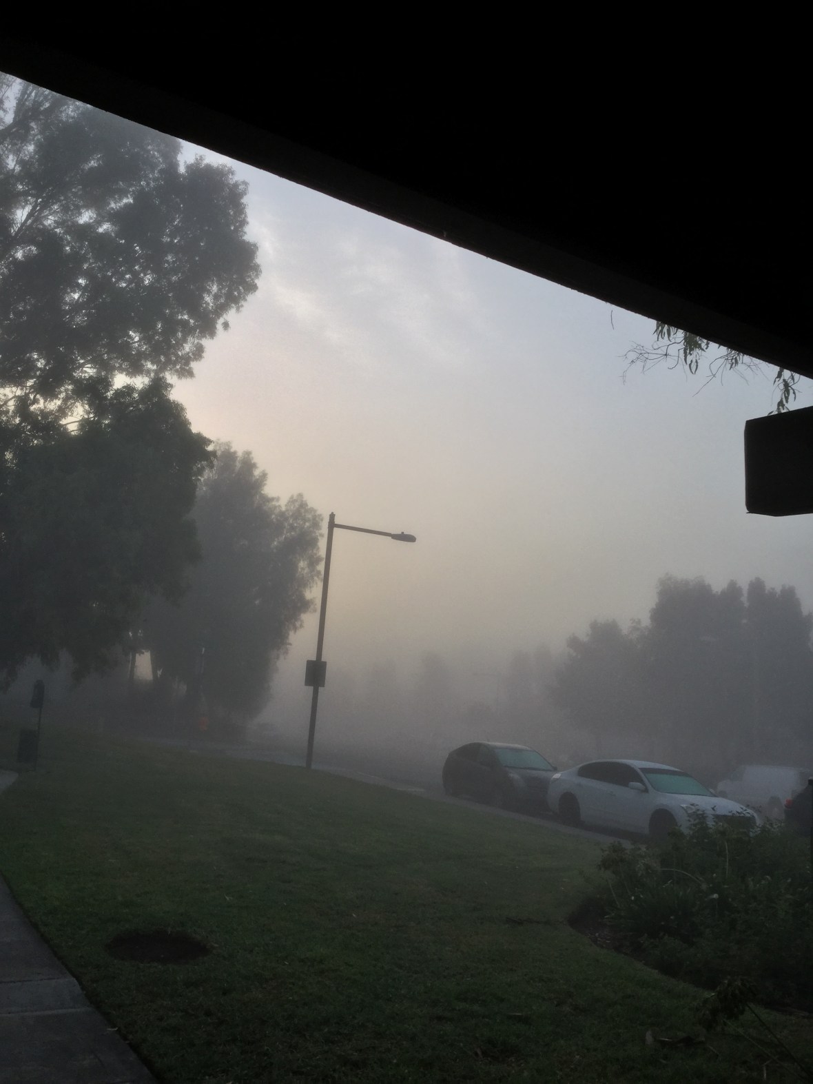 74D1B020-A0A6-4C02-8C7B-1BFCC926968B