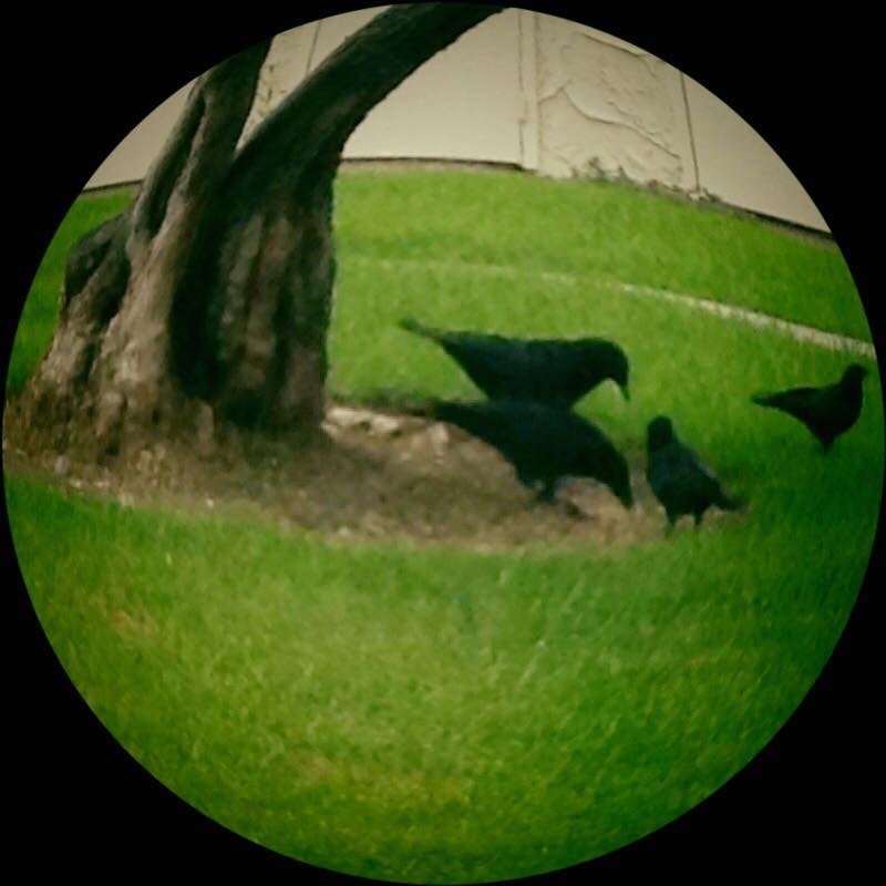 6AE6F8EA-2631-4F7A-BB1F-058A6273925E