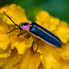 0D8B2FCD-175F-4A09-A509-39CC3FAF4027